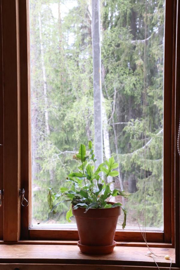Bed and Breakfast Turistgarden Saerna Екстер'єр фото